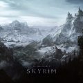 skyrim vinyle edition limitée