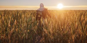 Assassin's Creed Origins