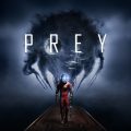prey