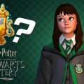 Harry Potter Hogwarts Mystery