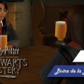 Harry Potter Hogwarts Mystery