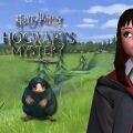 Harry Potter Hogwarts Mystery