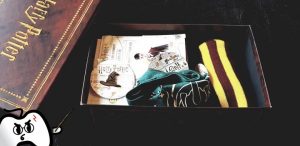 Harry Potter Wootbox