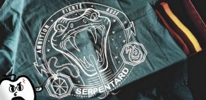 Harry Potter Wootbox