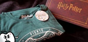 Harry Potter Wootbox