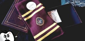 Harry Potter Wootbox