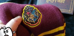 Harry Potter Wootbox