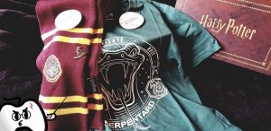 Harry Potter Wootbox