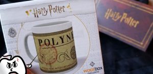 Harry Potter Wootbox