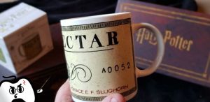 Harry Potter Wootbox