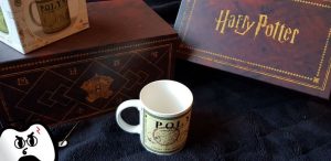 Harry Potter Wootbox