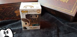 Harry Potter Wootbox