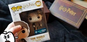 Harry Potter Wootbox