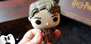 Harry Potter Wootbox