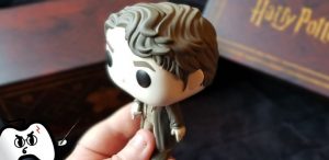 Harry Potter Wootbox