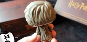 Harry Potter Wootbox