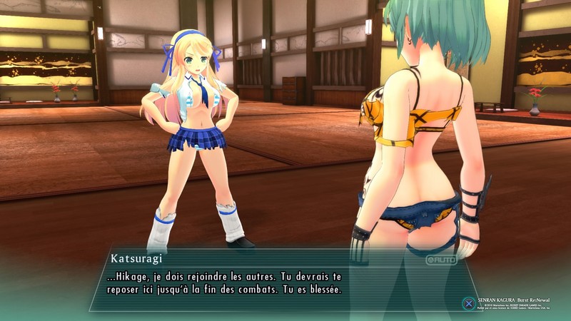 Senran Kagura Burst Re:Newal
