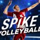spike volleyball
