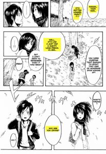 Attaque des Titans - Shingeki no Kyojin - SnK