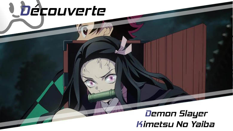 Demon Slayer Kimetsu no Yaiba