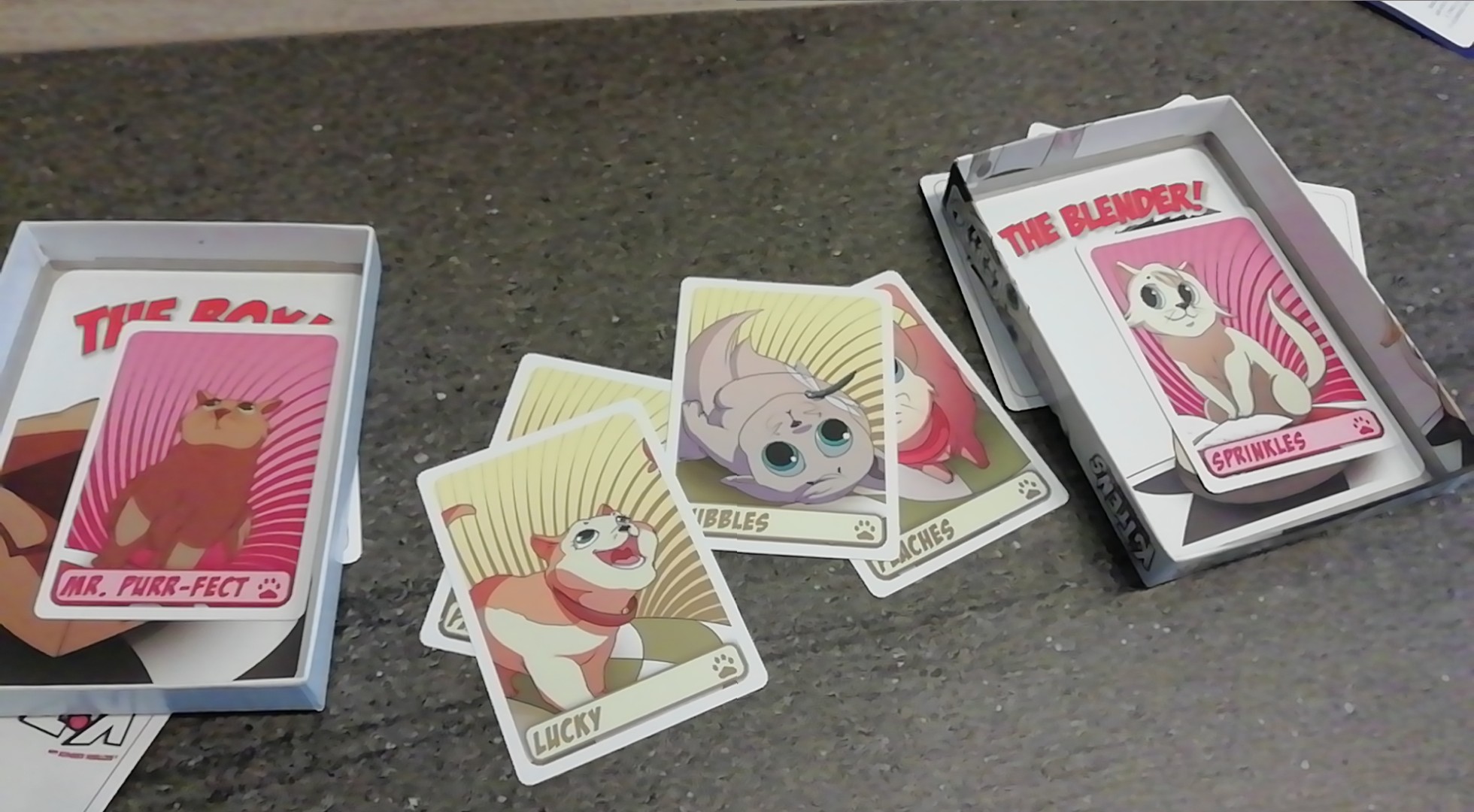 Kittens in a Blender