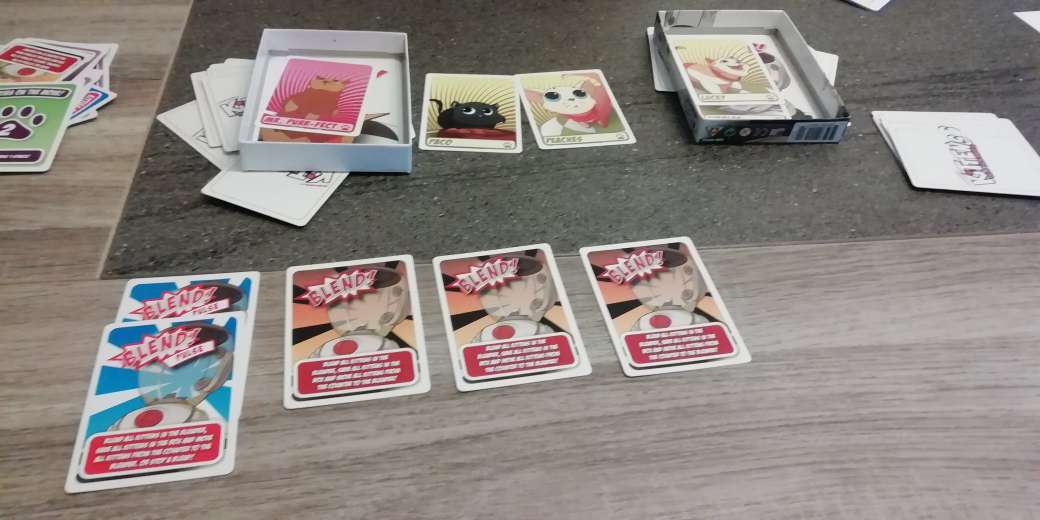 Kittens in a Blender