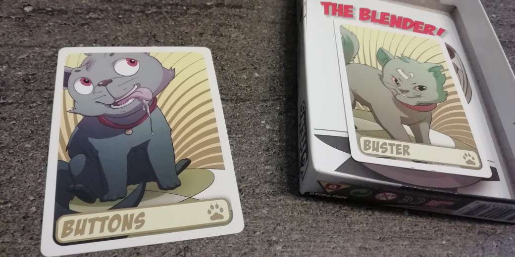 Kittens in a Blender