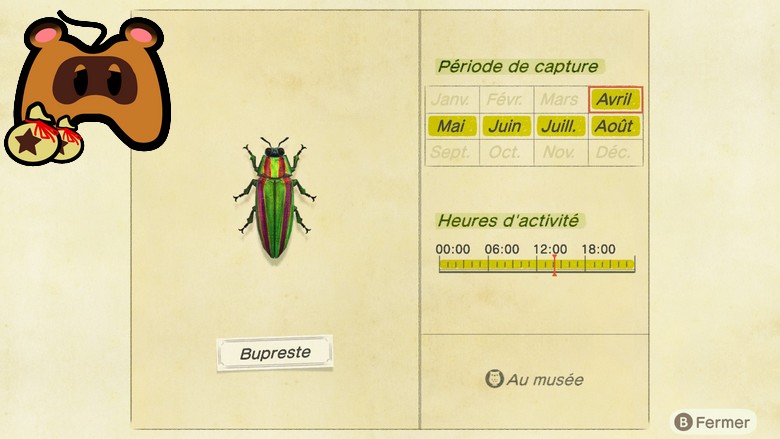 insectes