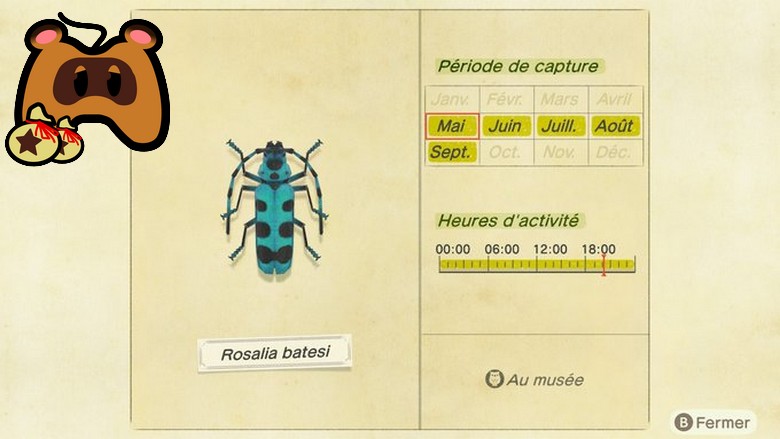 insectes