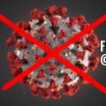 Folding@Home recherche coronavirus Covid-19 Sars-CoV-2