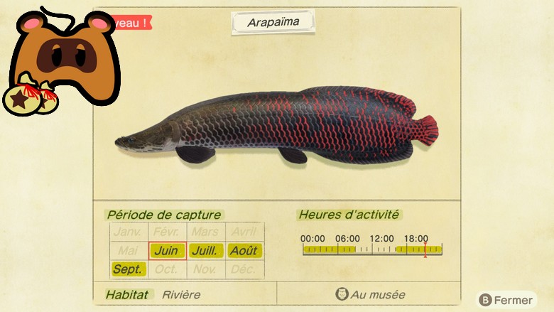 Guide Animal Crossing New Horizons Les Poissons Du Mois D Aout