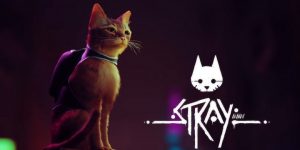 TEST – Stray