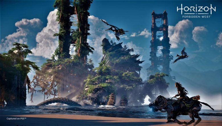 Image de Horizon Forbidden w