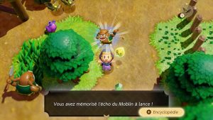 The Legend of Zelda Echoes of Wisdom