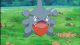 pokémon tcg griknot