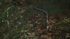 Metal Gear Solid Delta Snake Eater