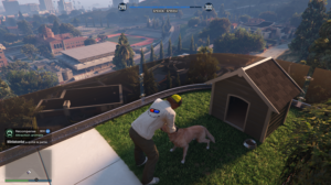 A safehouse in the hills